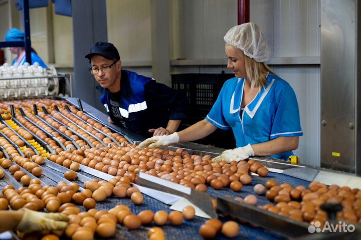 Укладчик\ца\вахта Татарстан