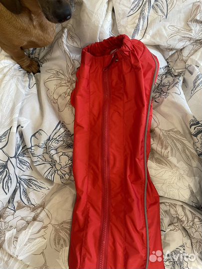 Комбинезон/дождевик для таксы/корги девочки