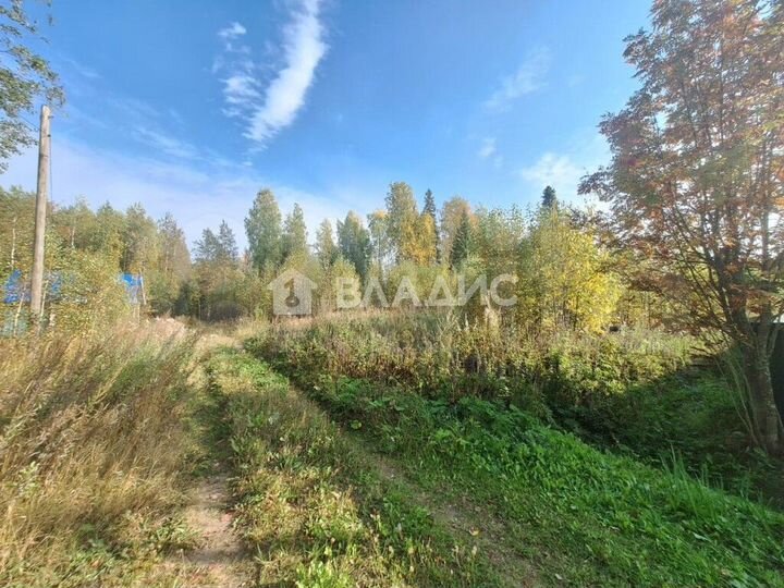 Участок 10 сот. (СНТ, ДНП)