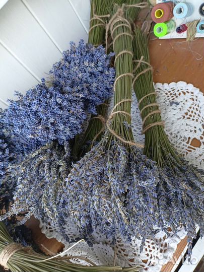 Лаванда сухоцвет букеты лаванды