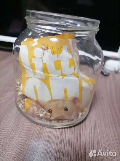 Для грызунов