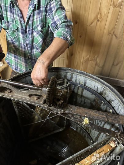 Продам мёд с собственной пасеки