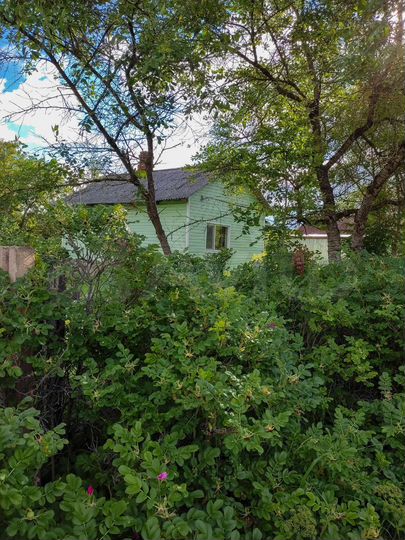 Дом 44,3 м² на участке 12,5 сот.