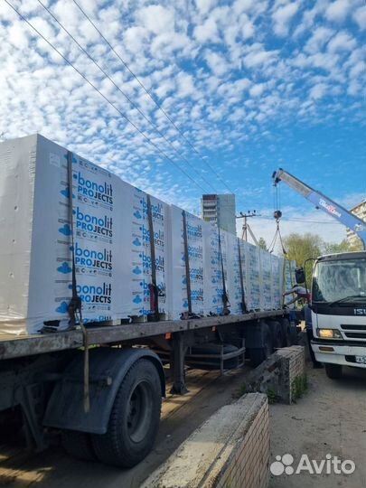 Газоблок 250 200