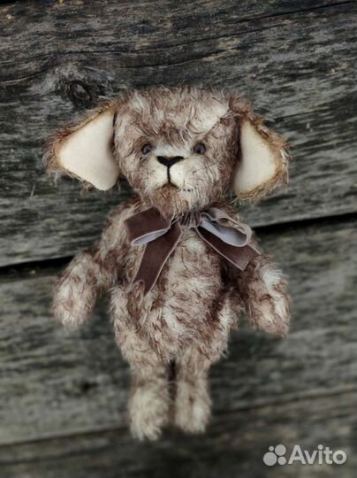 Тедди щенок