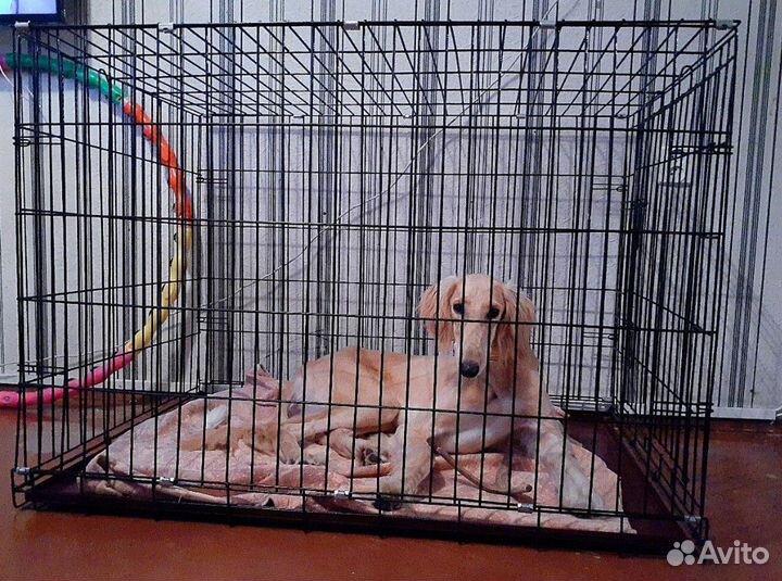 Домик-клетка для собаки