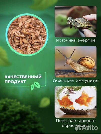 Гаммарус 1л 100гр