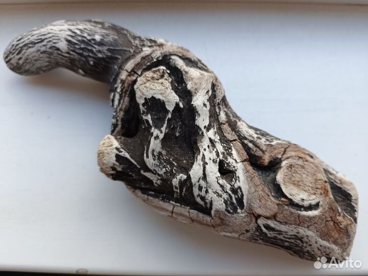 Коряги морские дрифтвуд набором для творчества