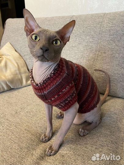 Вязание для животных