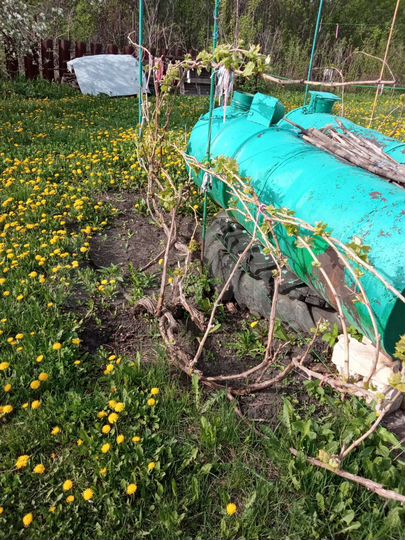 Дача 10 м² на участке 14 сот.