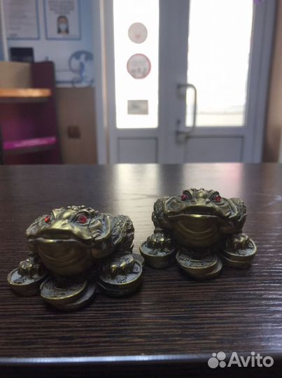 Жабки денежные