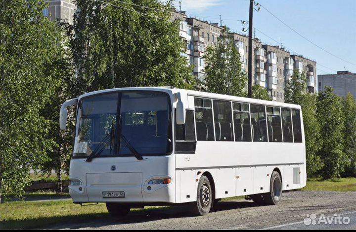 Водитель категории D