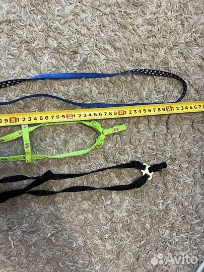 Шлейки и поводок