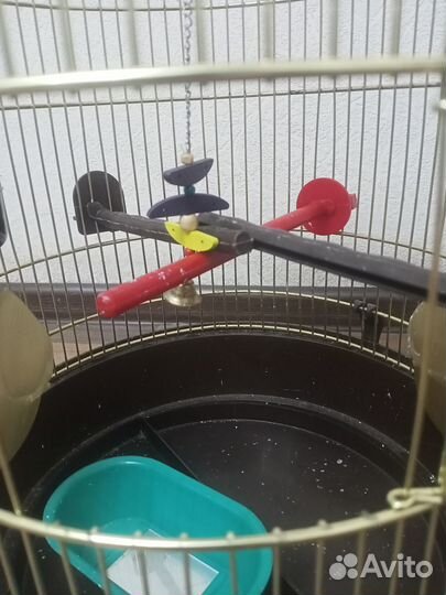 Клетка для попугая бу