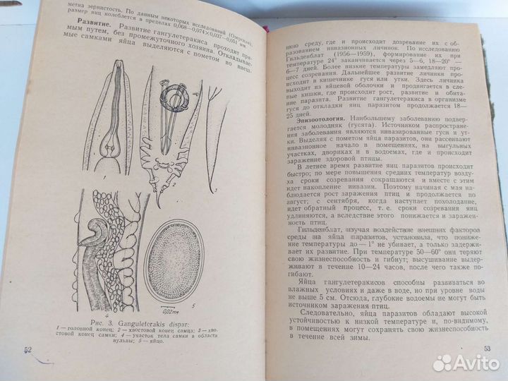 Научная литература 