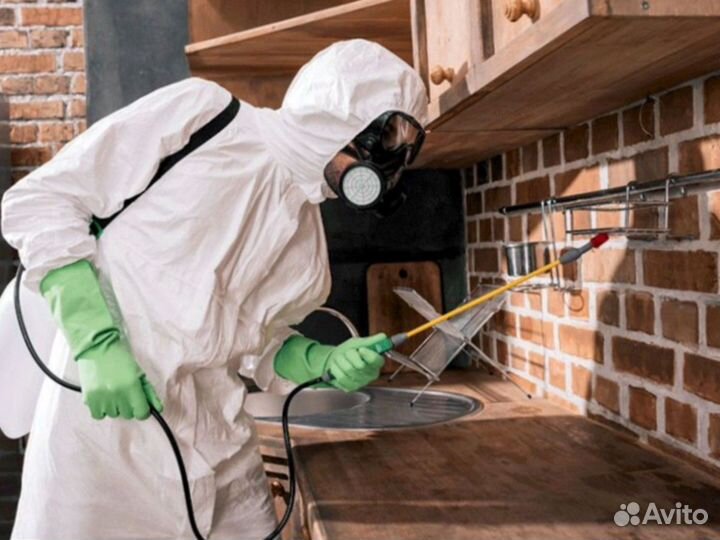 Дезинфекция. Уничтожение насекомых. 100%