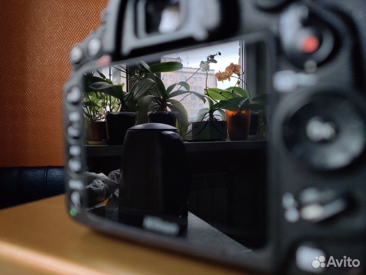 Фотоаппарат Nikon D 7000 (Body)