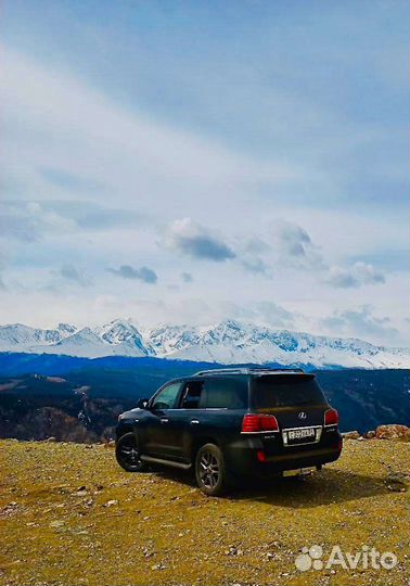 Трансфер. Экскурсии по Горному Алтаю