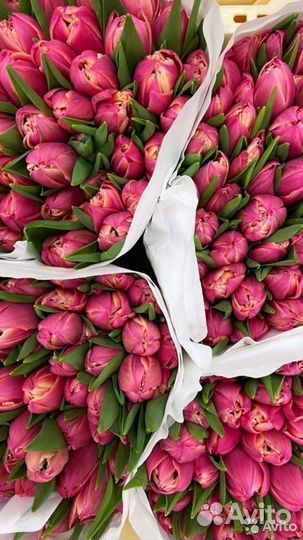 Букет цветы тюльпаны