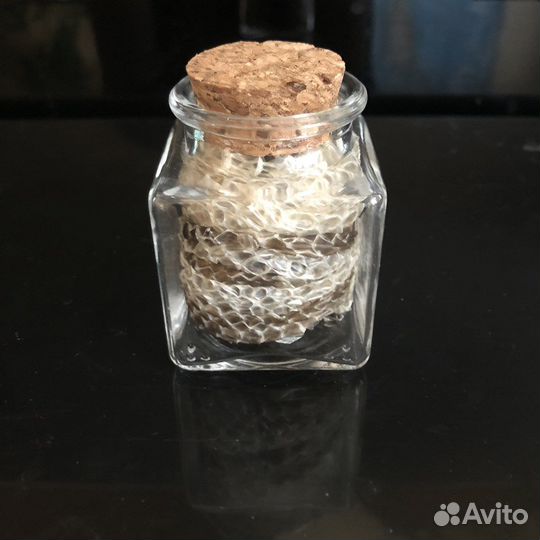 Выползок тигрового питона