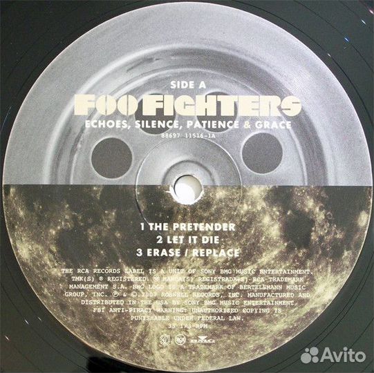 Виниловая пластинка Foo Fighters echoes, silence