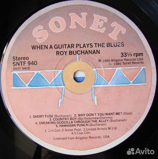 ROY buchanan - when A guitar plays THE blues / 198