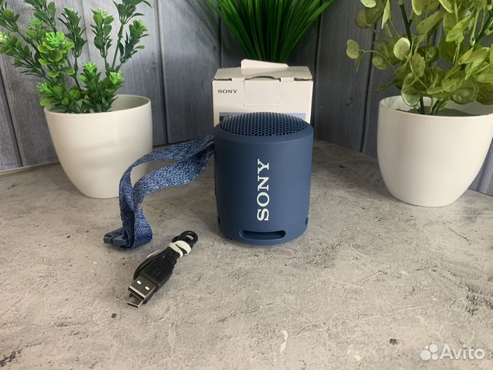 Новая портативная колонка Bluetooth Sony SRX-XB13