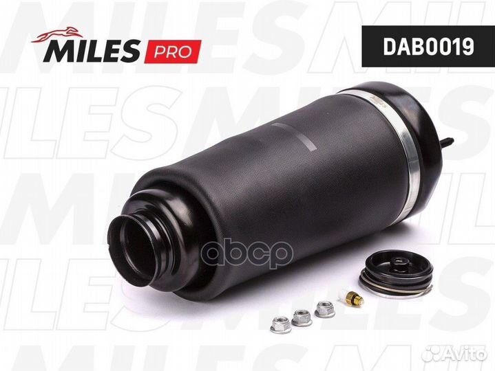 Пневмобаллон MB R-Class W251 06-13 пер. DAB0019