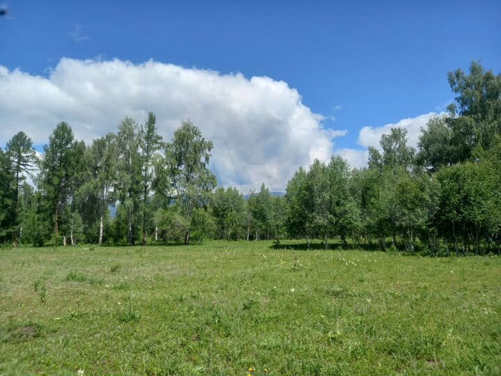 Участок 4 га (ИЖС)