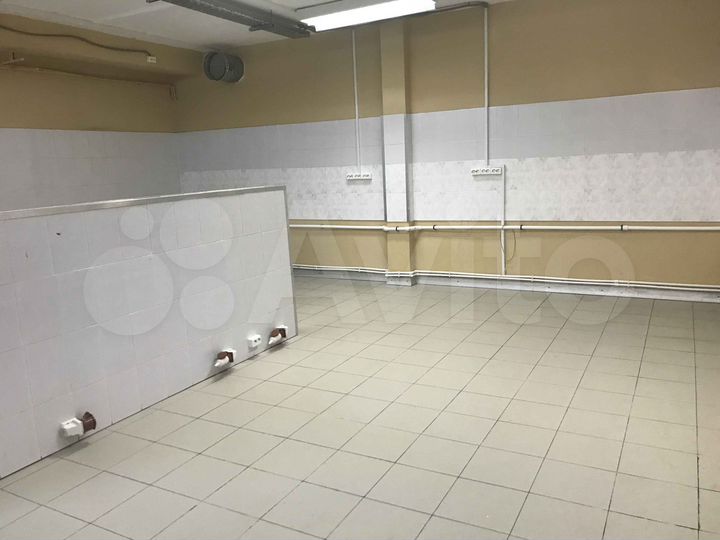 Готовое пищевое производство, 165 м²