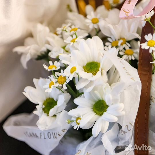 Радость весны