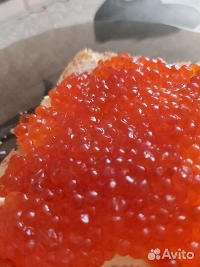 Икра красная