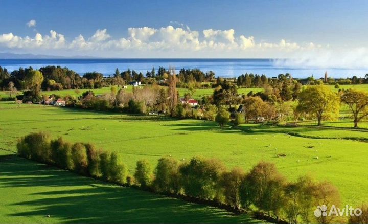 Юрист / земля