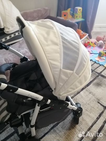 Коляска 2 в 1 adamex