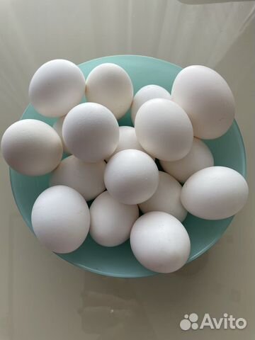 Домашние куриные яйца