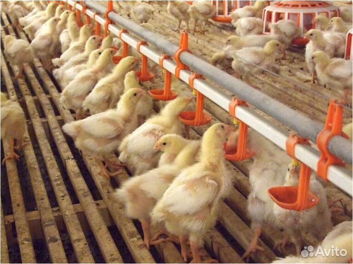 Нипельная поилка для птиц нп-16