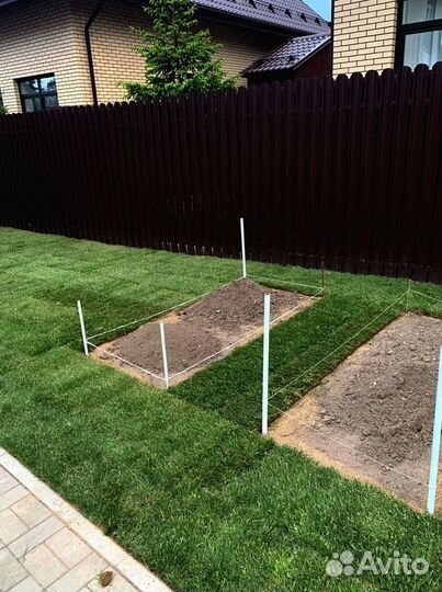 Рулонный газон 