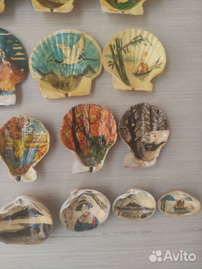 Морские ракушки раковины