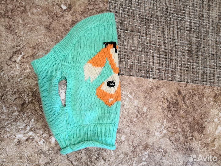 Одежда для кошек