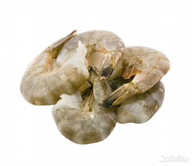 Тигровые Креветки. Ваннамей