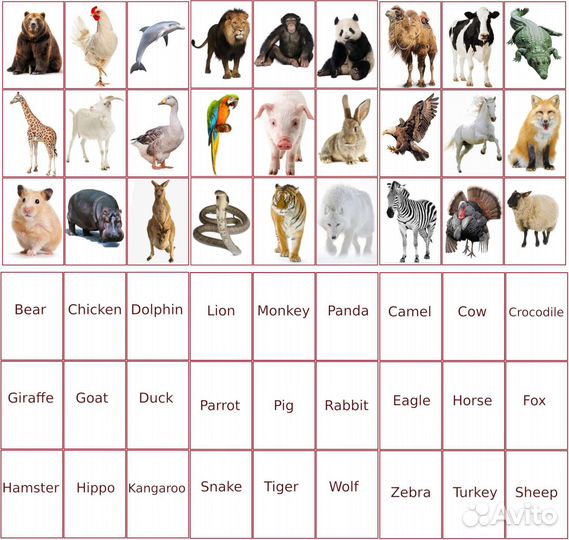 Набор карточек abc