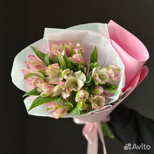 Альстромерия Альстромерии