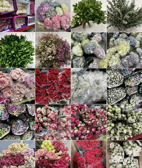 Цветы оптом - розы пионы альстромерия оптом