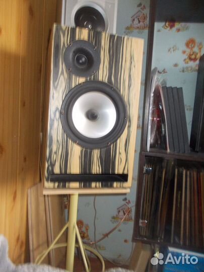 Акустическая система