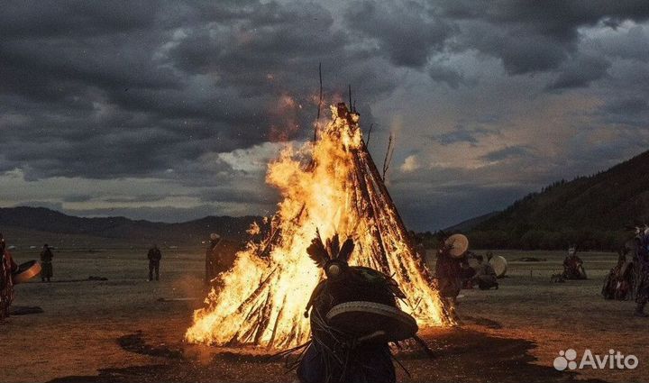 Чай пуэр « Космос шаманов » шмн11945