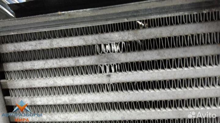 Интеркулер Volkswagen Golf 6 2008 1K0145803T