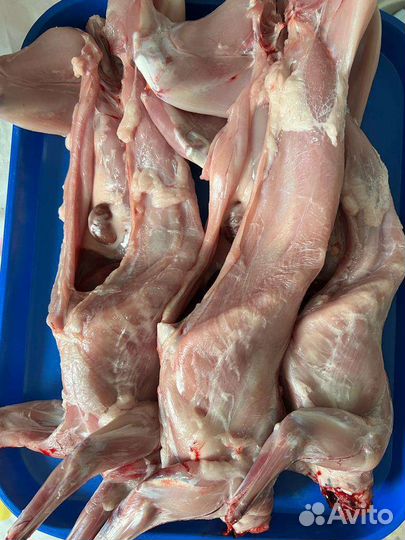 Продам мясо кролика