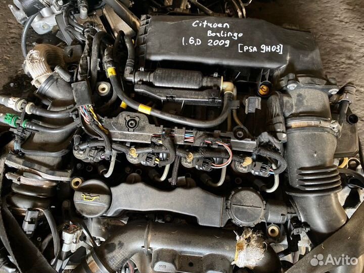 Двигатель Citroen Berlingo B9 9H03 2009