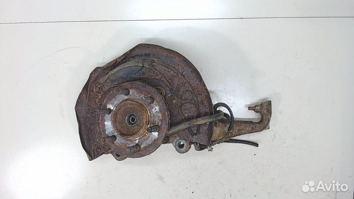 Ступица (кулак, цапфа) Ford F-150, 2010