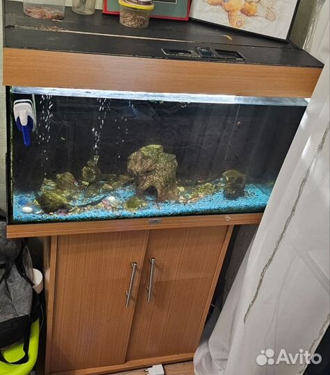 Аквариум 150л
